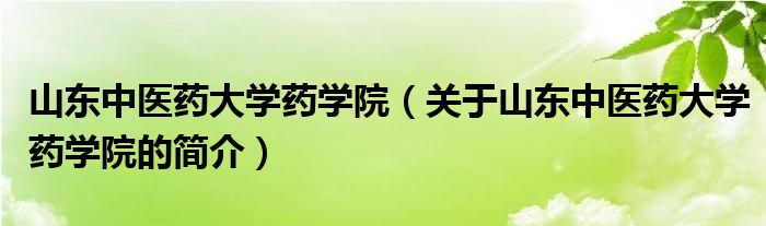 山东中医药大学药学院（关于山东中医药大学药学院的简介）