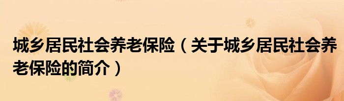 城乡居民社会养老保险（关于城乡居民社会养老保险的简介）