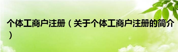 个体工商户注册（关于个体工商户注册的简介）