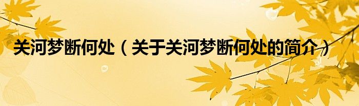 关河梦断何处（关于关河梦断何处的简介）