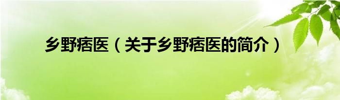 乡野痞医（关于乡野痞医的简介）