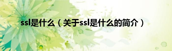 ssl是什么（关于ssl是什么的简介）