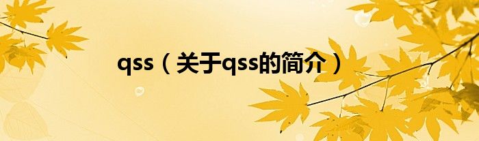 qss（关于qss的简介）