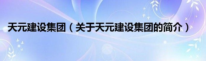 天元建设集团（关于天元建设集团的简介）