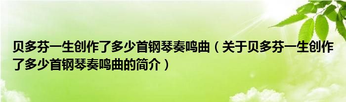 贝多芬一生创作了多少首钢琴奏鸣曲（关于贝多芬一生创作了多少首钢琴奏鸣曲的简介）