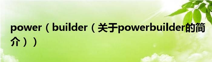 power（builder（关于powerbuilder的简介））