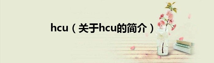 hcu（关于hcu的简介）