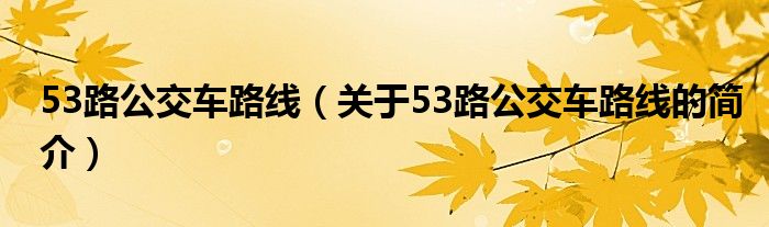 53路公交车路线（关于53路公交车路线的简介）