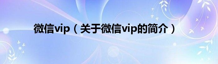 微信vip（关于微信vip的简介）