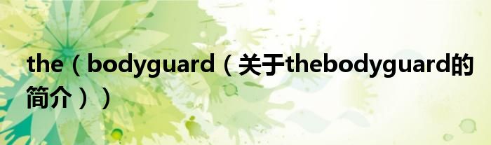 the（bodyguard（关于thebodyguard的简介））