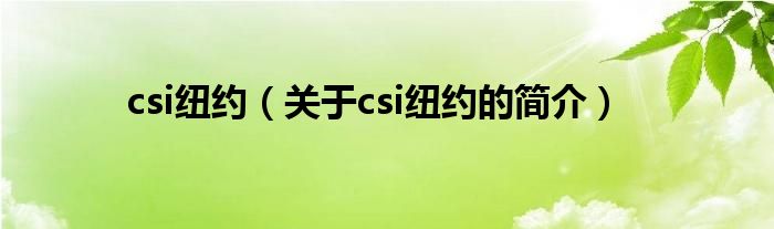 csi纽约（关于csi纽约的简介）