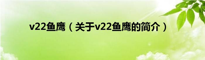 v22鱼鹰（关于v22鱼鹰的简介）