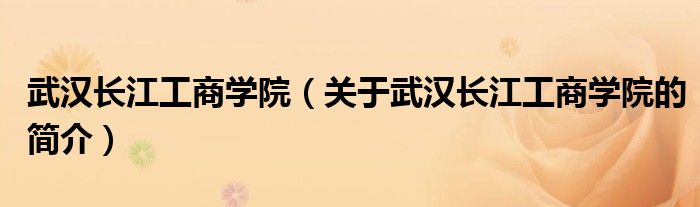 武汉长江工商学院（关于武汉长江工商学院的简介）