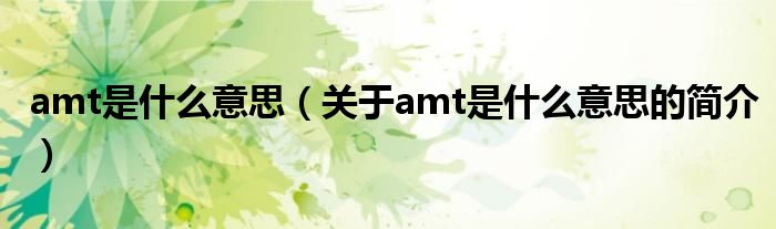 amt是什么意思（关于amt是什么意思的简介）