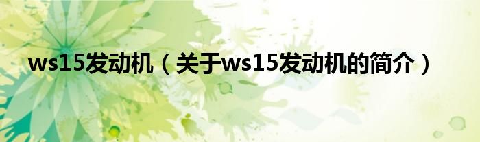 ws15发动机（关于ws15发动机的简介）