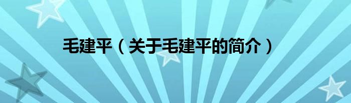 毛建平（关于毛建平的简介）