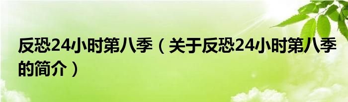 反恐24小时第八季（关于反恐24小时第八季的简介）