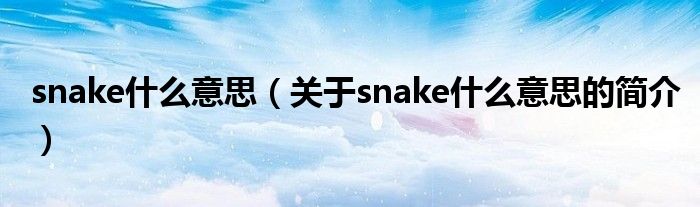 snake什么意思（关于snake什么意思的简介）