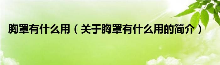 胸罩有什么用（关于胸罩有什么用的简介）