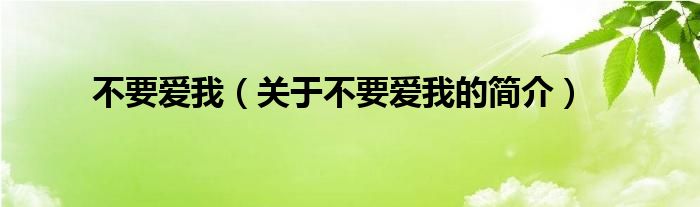 不要爱我（关于不要爱我的简介）