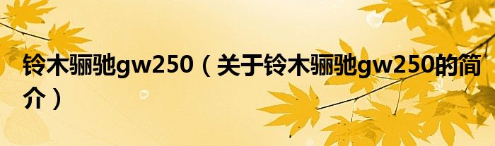 铃木骊驰gw250（关于铃木骊驰gw250的简介）