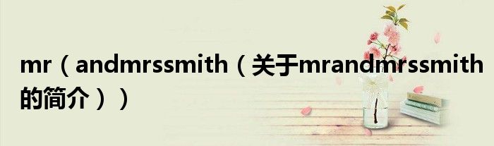 mr（andmrssmith（关于mrandmrssmith的简介））