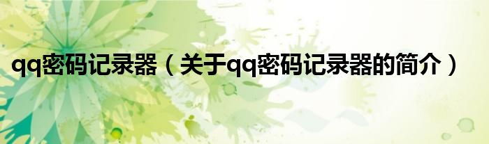 qq密码记录器（关于qq密码记录器的简介）