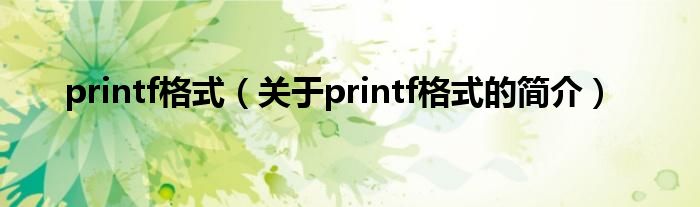 printf格式（关于printf格式的简介）