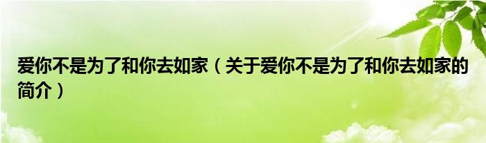 爱你不是为了和你去如家（关于爱你不是为了和你去如家的简介）