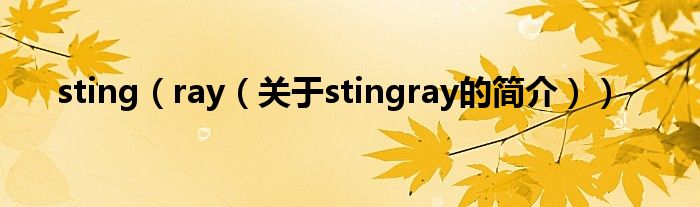 sting（ray（关于stingray的简介））