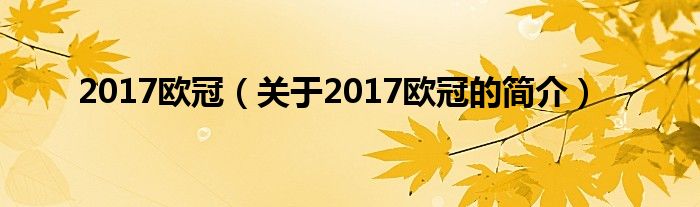 2017欧冠（关于2017欧冠的简介）