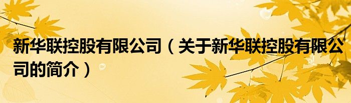 新华联控股有限公司（关于新华联控股有限公司的简介）