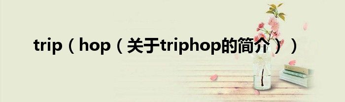 trip（hop（关于triphop的简介））