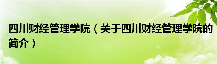 四川财经管理学院（关于四川财经管理学院的简介）