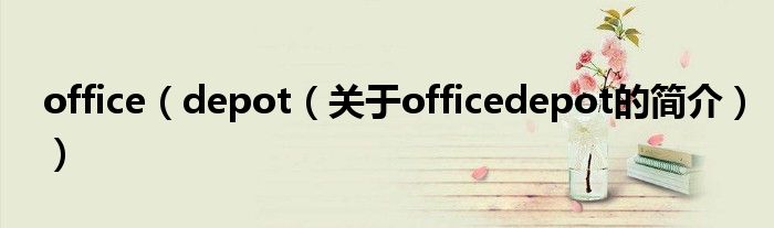 office（depot（关于officedepot的简介））