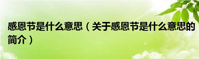 感恩节是什么意思（关于感恩节是什么意思的简介）