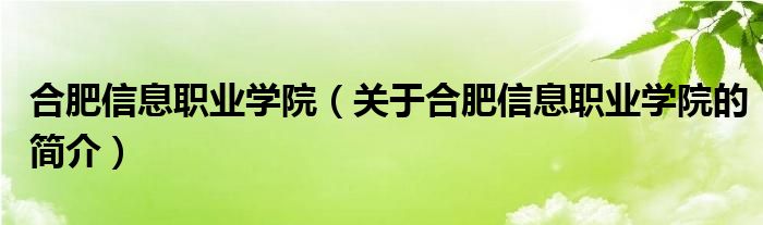 合肥信息职业学院（关于合肥信息职业学院的简介）