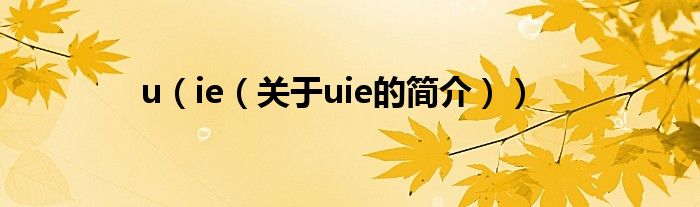 u（ie（关于uie的简介））