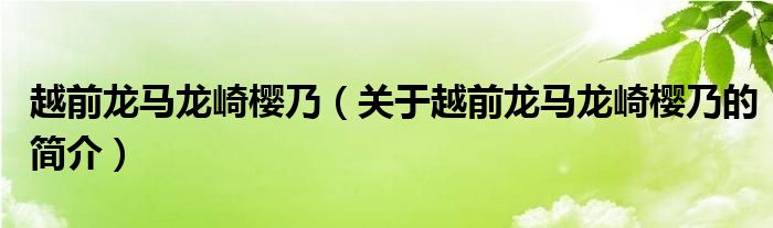 越前龙马龙崎樱乃（关于越前龙马龙崎樱乃的简介）