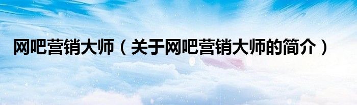 网吧营销大师（关于网吧营销大师的简介）