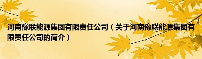 河南豫联能源集团有限责任公司（关于河南豫联能源集团有限责任公司的简介）