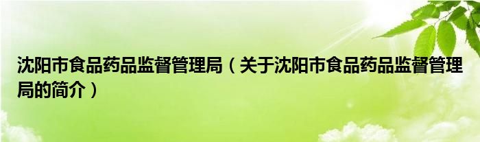 沈阳市食品药品监督管理局（关于沈阳市食品药品监督管理局的简介）