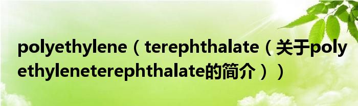 polyethylene（terephthalate（关于polyethyleneterephthalate的简介））