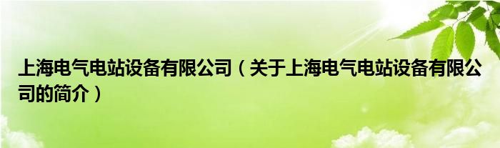 上海电气电站设备有限公司（关于上海电气电站设备有限公司的简介）