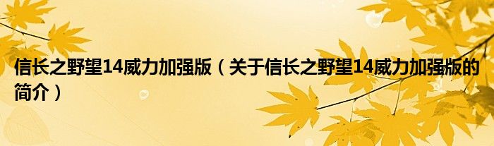 信长之野望14威力加强版（关于信长之野望14威力加强版的简介）