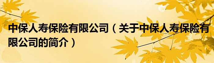 中保人寿保险有限公司（关于中保人寿保险有限公司的简介）