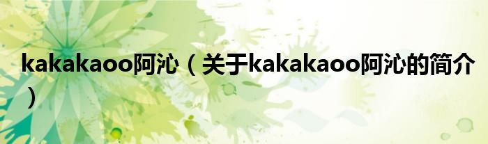 kakakaoo阿沁（关于kakakaoo阿沁的简介）