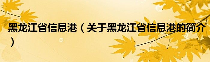 黑龙江省信息港（关于黑龙江省信息港的简介）