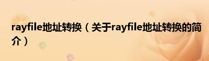 rayfile地址转换（关于rayfile地址转换的简介）