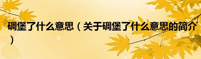 碉堡了什么意思（关于碉堡了什么意思的简介）